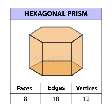 faces of a hexagonal prism